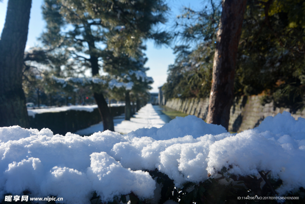 积雪