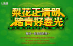 梨花正清明踏青好春光