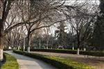公园小路