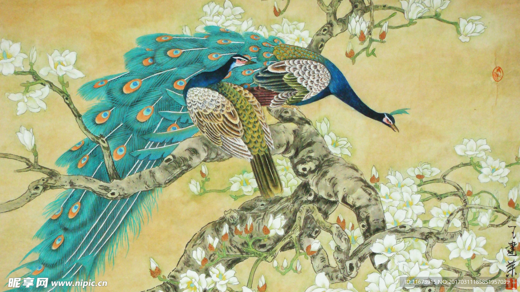 孔雀牡丹