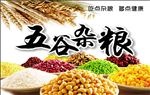 五谷渣粮海报