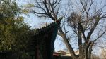 兰州蓝