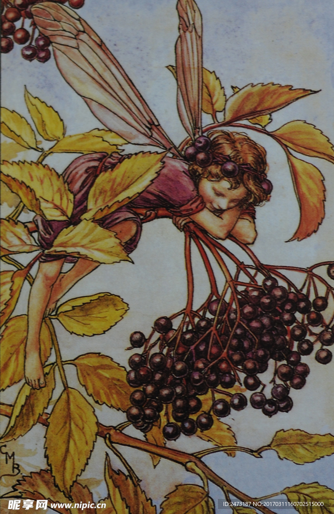 花仙子