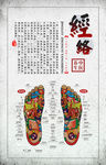 医疗养生经络