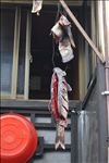 浙江省嘉善县西塘
