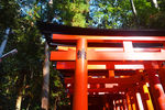 日本鸟居