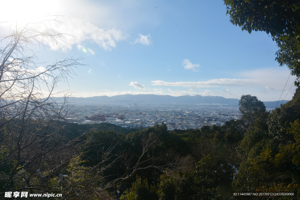 城市风景