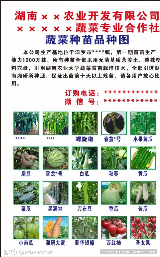蔬菜品种图