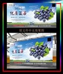 蓝莓宣传促销海报