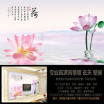 清新优雅荷花倒影背景墙