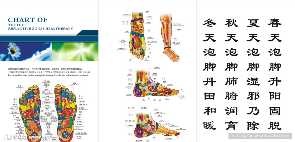 足部穴位对应内脏图