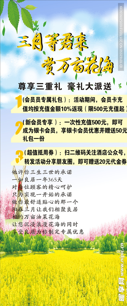 油菜花展架