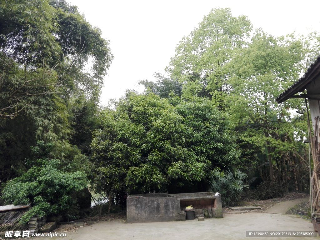 农家小院