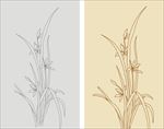 兰花 线条 线描 简洁 花草
