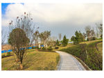 道路