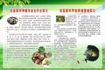 生态养殖简介