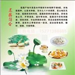 莲藕简介