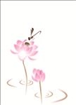 中国画荷花