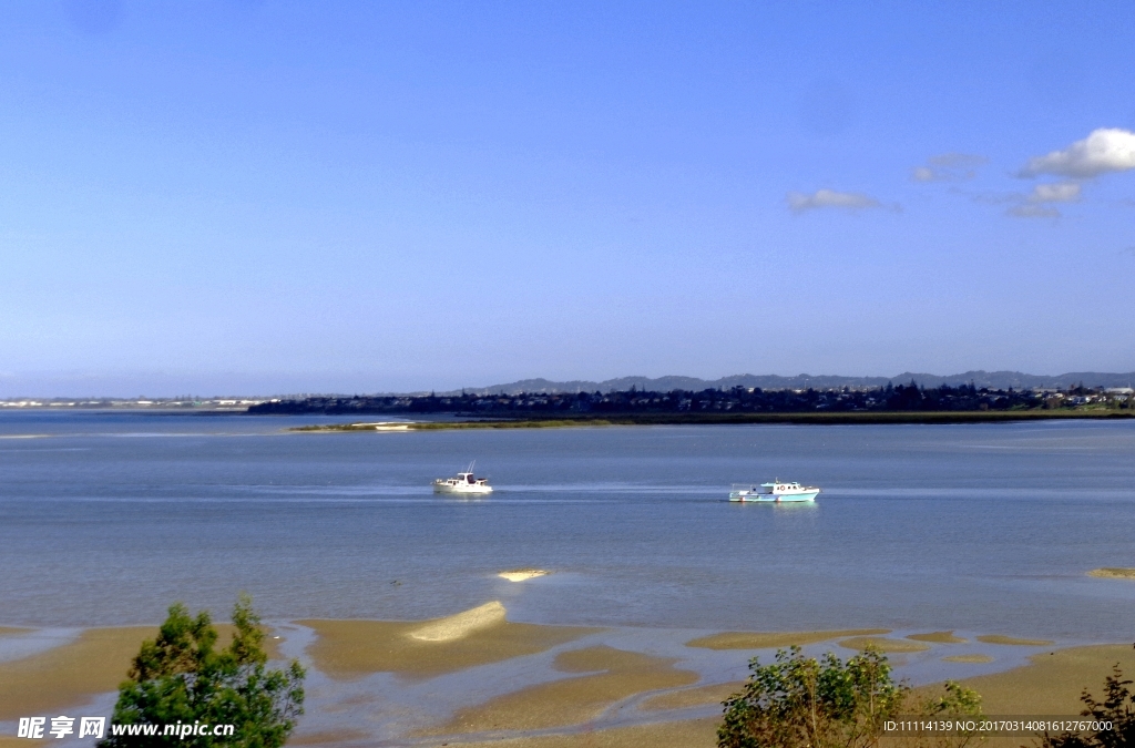 奥克兰海滨自然风景