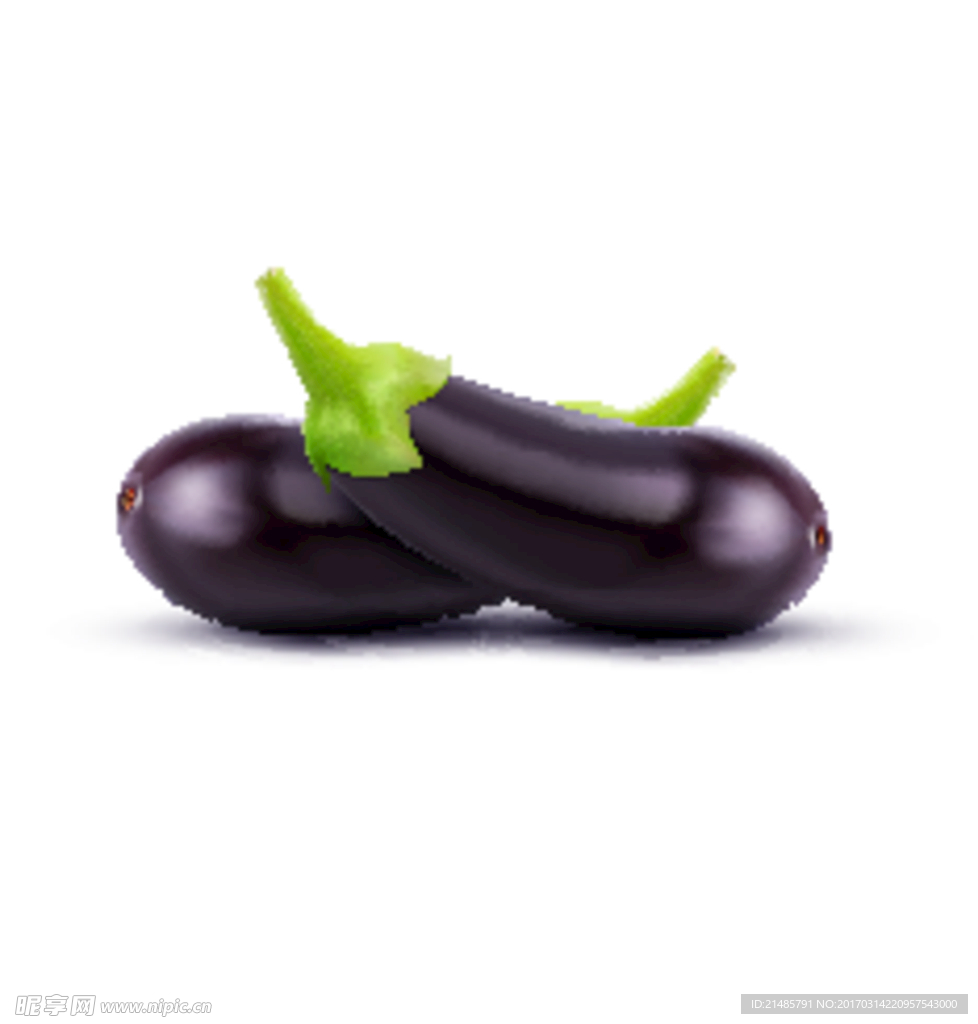矢量茄子疏菜