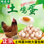淘宝主图
