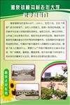 老年活动中心