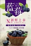 蓝莓
