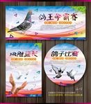 赛鸽子比赛