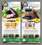 茄子