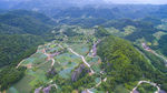 田园风光