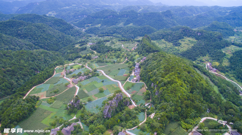 田园风光