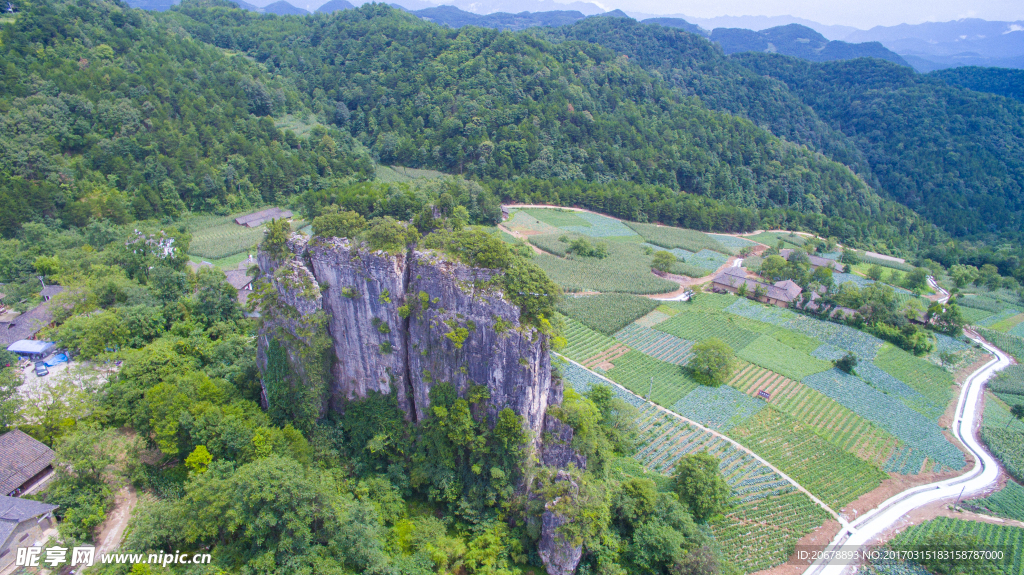 田园风景