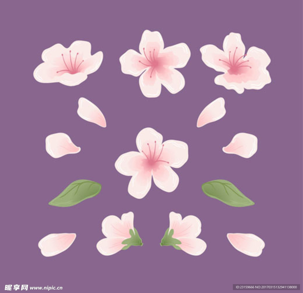 春季樱花元素
