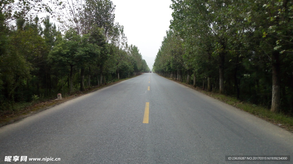 遗忘的路