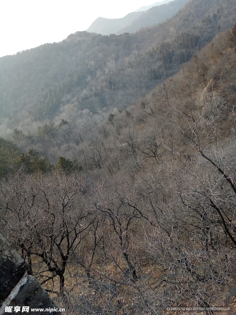 山