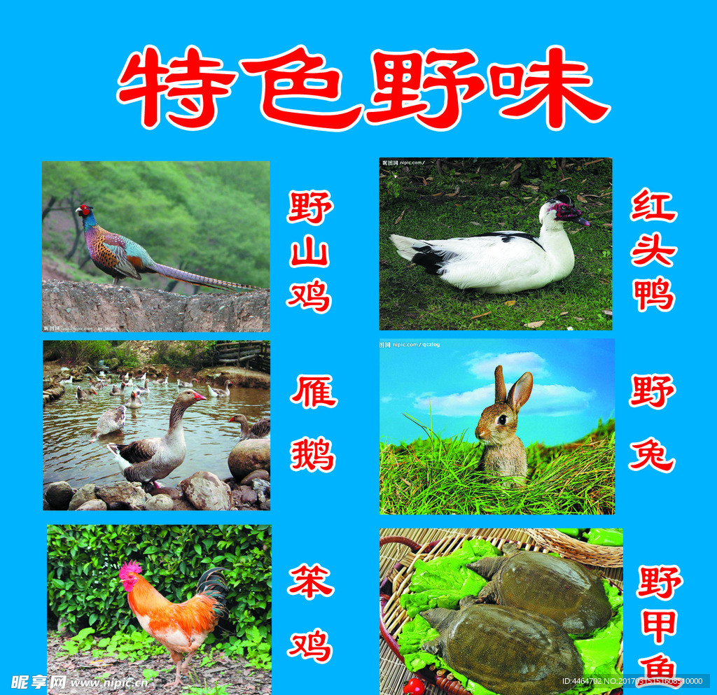 特色菜