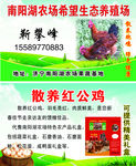 养殖场名片
