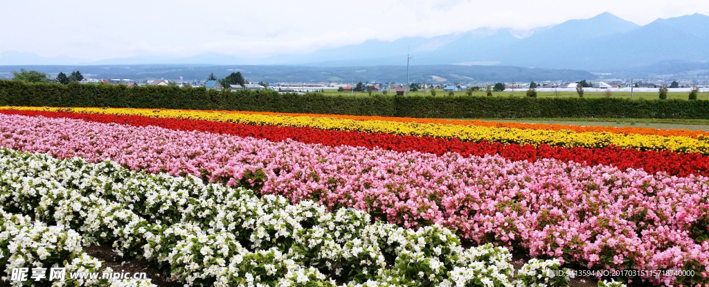 夏日北海道