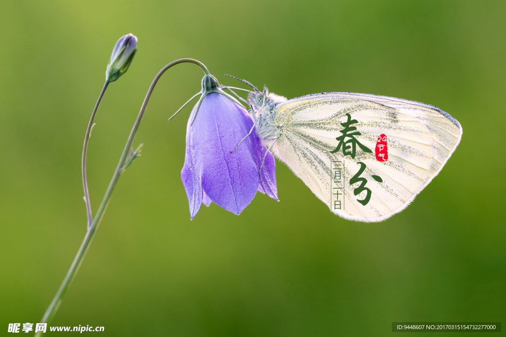 春分24节气图片