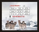 狼 上班没事做吗 形象墙
