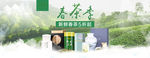 春茶banner