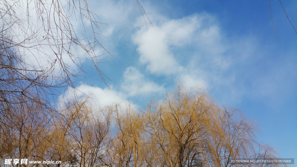 初春 蓝天 白云