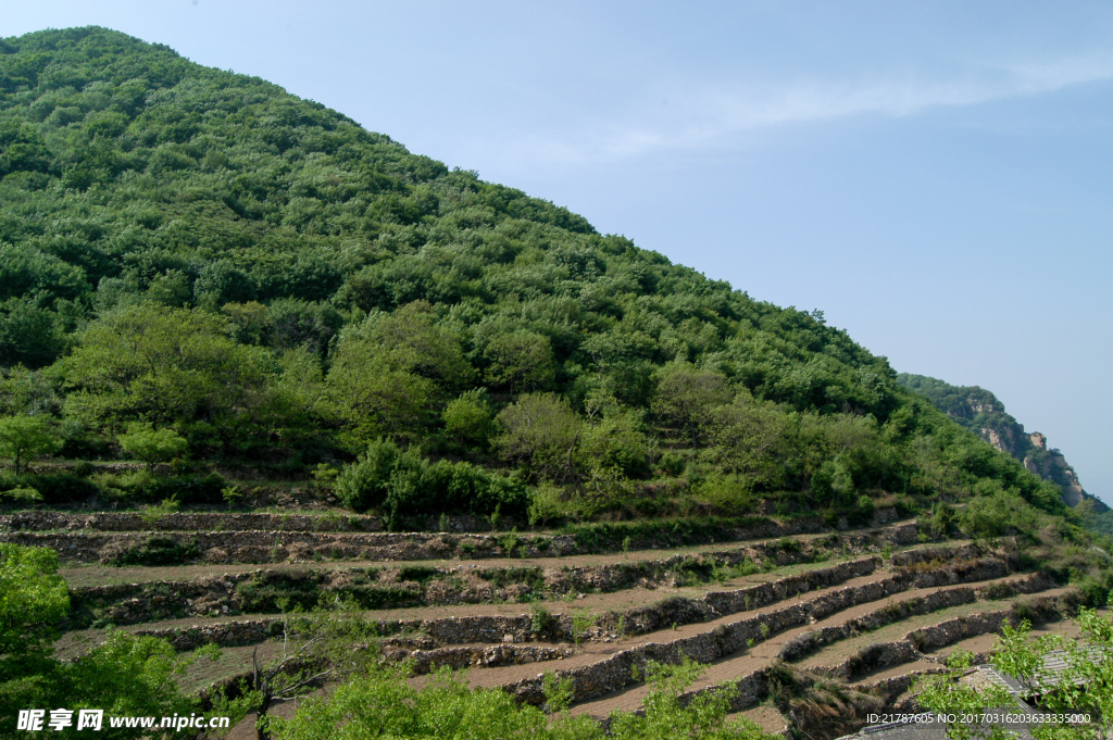 梯田