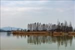 湘湖