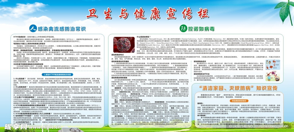 卫生与健康宣传栏