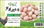好鸡汇
