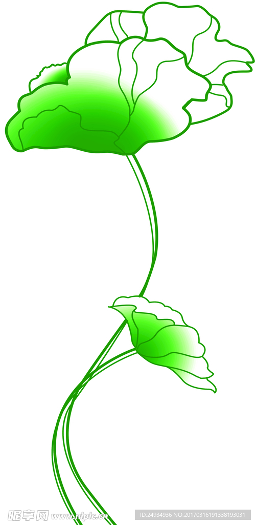 简笔画荷花