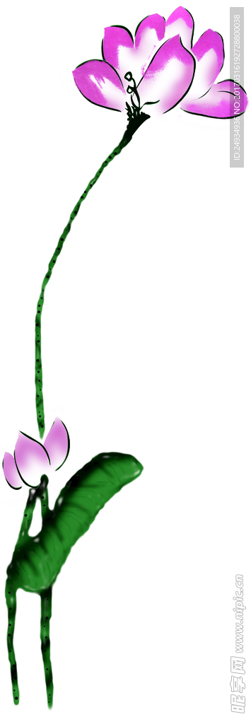 数码印花 荷花