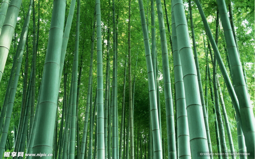 风景摄影