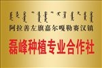 合作社铜牌